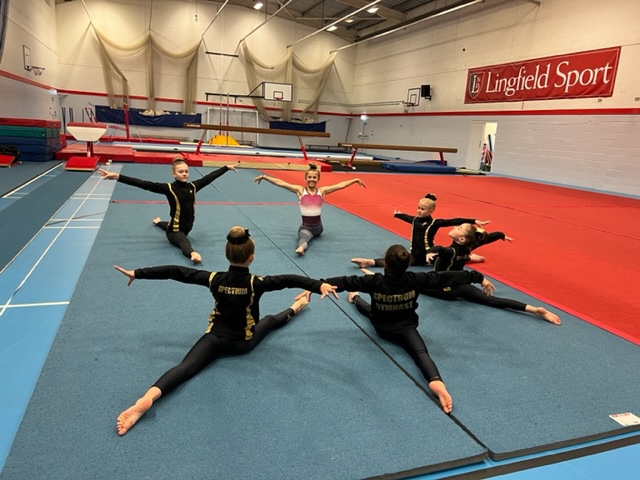 Gymnastics — Spectrum Movement